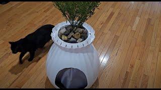 Petterm Hidden Plant Smart Cat Litter Box With Deodorizer Review & Demo