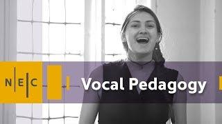 Vocal Pedagogy Summer Program at NEC