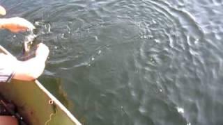 Sandro fishing at Wolfe lake in Ontario Canada