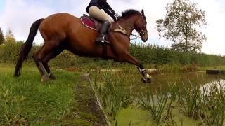 Pro Horse Films April 2015