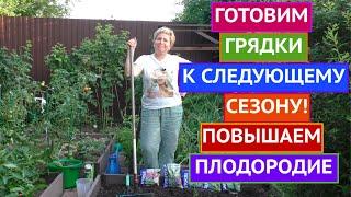 ГРЯДКИ ПОСЛЕ СБОРА УРОЖАЯ: ГОТОВИМ К СЛЕДУЮЩЕМУ СЕЗОНУ И БОЛЬШОМУ УРОЖАЮ!