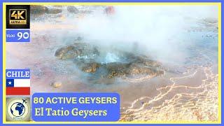 80 ACTIVE GEYSERS - El Tatio Geysers Chile Travel Wtravel 4K