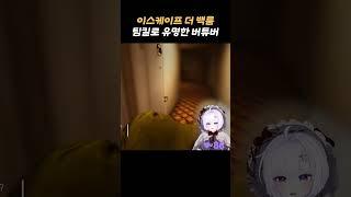 팀킬로 유명한 버튜버