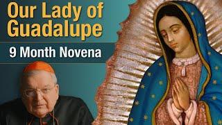 Cardinal Burke Novena To Our Lady of Guadalupe | 9 Month Novena Prayer