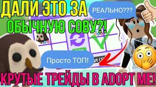 ЧТО ДАЮТ ЗА ОБЫЧНУЮ СОВУ в АДОПТ МИ РОБЛОКС?! | ТОП ТРЕЙДЫ на ФЛАЙ РАЙД СОВУ в ADOPT ME ROBLOX