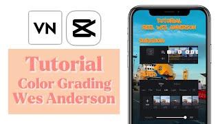 How to color grade like Wes anderson | Wes anderson video color grading tutorial on capcut / VN app