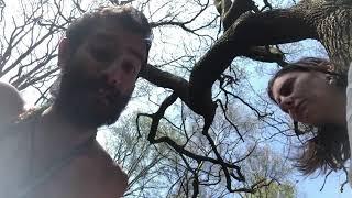 Emotional Alchemy With Jade Lotus And Holistic Health With Harry