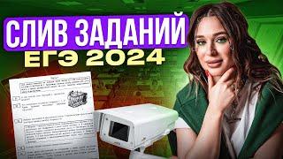 СЛИВ ЗАДАНИЙ ЕГЭ ПО БИОЛОГИИ 2024 | Женя Биологичка EL