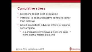 Racial & ethnic disparities in the outcomes of alcohol consumption: poverty and psychosocial stress