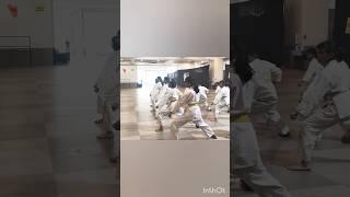 Martial Arts  Practice for Beginners  #martialarts #sports #fitness