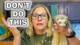 5 MISTAKES New Ferret Owners Make