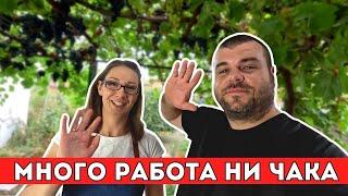 Какви ремонти ще правим по къщата? | Живот на село | Milchevi BG