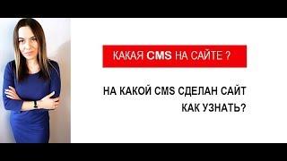 Какая cms на сайте  На какой cms сделан сайт как узнать