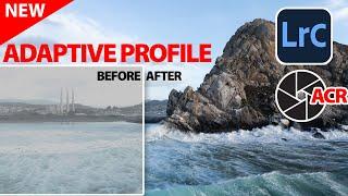 NEW Adaptive Profiles in Lightroom and Camera RAW