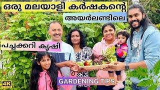 From Kerala to Ireland: The Vibrant Story of an Irish Malayali & his Vegetable Garden | From Me2Wee