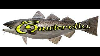 Cinderella COD Panto 2016-2017 New Theatre Royal Lincoln
