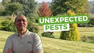 Another Day In The Life of TruGreen | Lawncare UK