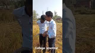 #collage practical harvesting  paddy@lahantechical  lahan siraha friend Nitish sah Manish Yadav anil