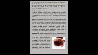 Мишка вязаный крючком, мастер класс в схемах.