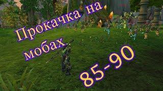 Прокачка на мобах  85-90   Временный остров World of Warcraft