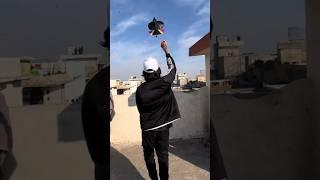 Basant Morning scene 1 million kites challenge #rap #hiphop #automobile #tossin #bhangradancers #lyr