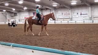 Darlene: Western HMS