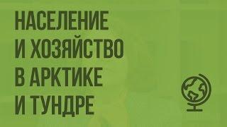 Население и хозяйство в Арктике и тундре. Видеоурок по географии 8 класс