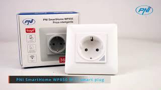 PNI SmartHome WP850 WiFi smart uttag, begravd montering, internetkontroll SE