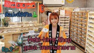 Hebi-hime​ Shop(งูบอล ไพ​ธ​อน​สวยงาม)​Ep.2​