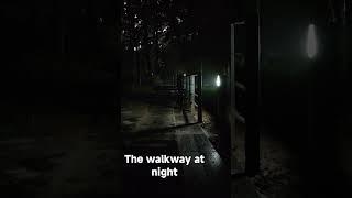 The walkway at night