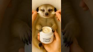 Baby Meerkat spa day? Watch this cutie get pampered! Made with AI by AI STUDIO #ai #aiart #aistudio