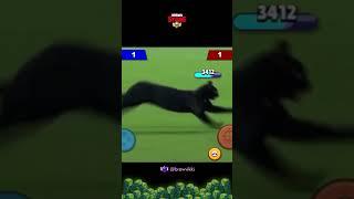 История одного кита в броулбол   !  #brawlstars #funny #kit #броулбол #кит