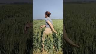 Jia Mier Funny. Interesting and humorous rural stories. Bring positive things to you every day #844