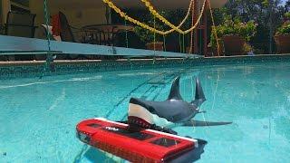 Shark attacks Lego city train