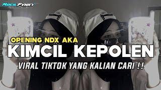 DJ KIMCIL KEPOLEN || OPENING NDX AKA VIRAL TIKTOK TERBARU 2024