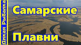 Что нужно знать о рыбалке в САМАРСКИХ ПЛАВНЯХ? Все секреты и хитрости ловли в плавнях Днепра!