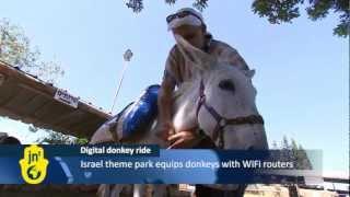 Israel Donkeys with Onboard Wifi at Galilee Tourist Theme Park: Wireless Routers at Kfar Kedem