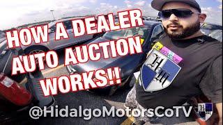 HOW A DEALER AUTO AUCTION WORKS - LIVE BIDDING AND LIVE EXAMPLE