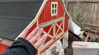 Should You Have Lights in the Chicken Coop? - Five Minute Chicken Tips!