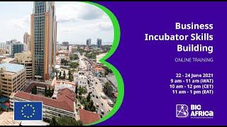 BIC Africa - Business Incubator Skills Training (Session 1)