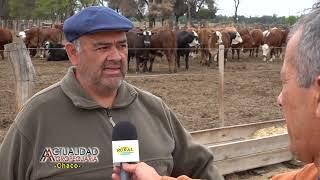 Ganaderia Engorde a Corral zona General Capdevila Chaco Ing Agr Eduardo Fernandez 1