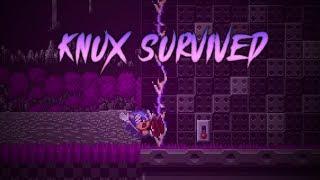 Only Knuckles survived.. - Sonic.EXE: The Phantom’s Hallucination of Despair *knuckles survival*