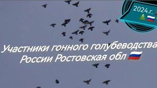 Николаевские голуби‼️Уч.гонного голубеводства ‼️Деркач, Пахомов,Ермоленко,Минин,Базов. Овчаров.и.т.д