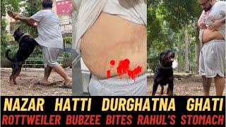 Rottweiler Bubzee Crosses All Limits Of Aggression: Brutally Bites Rahul's Stomach