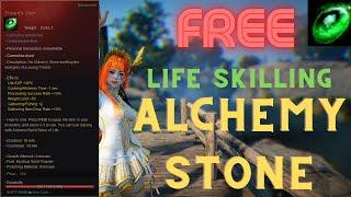 FREE Life Skilling Alchemy Stone Before Season End's How To Get Treant's Tear Guide Black Desert