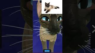 /=Скины по породам кошек(1 часть)/Коты Воители/=/Skins by cat breeds (1 part)/𝚆𝚊𝚛𝚛𝚒𝚘𝚛 𝙲𝚊𝚝: 𝚄𝙴=/