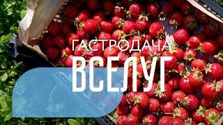 Ферма Гастродача Вселуг