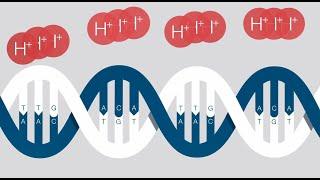 Ion Torrent Next-generation Sequencing