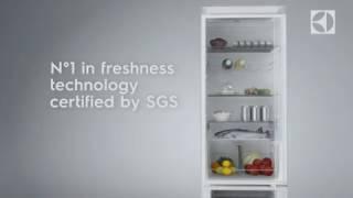 Electrolux MultiFlow Technology – Keep food fresh for longer.