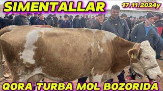 QORA TURBA MOL BOZORIDA XO’KIZLAR VA SIMENTAL SIGIRLAR NARXLARI #mol #bozori #chorva #olami